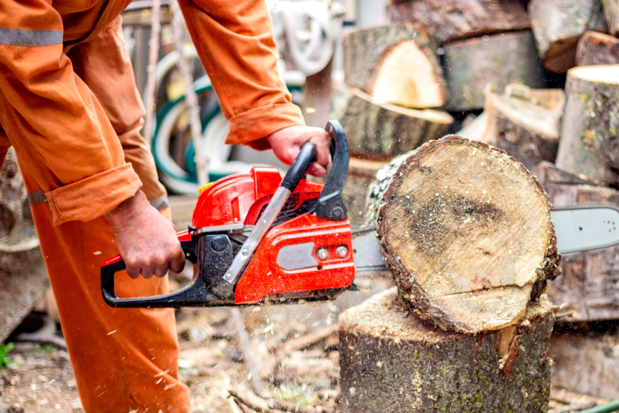 Man with Chainsaw Cutting the Tree. Worker in Protective Gear. 1